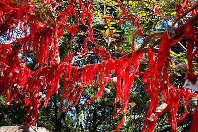 《末日曙光》扩展还将提及《刺客信条》系列其他作品