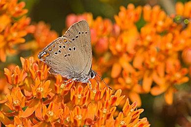 解锁死者的秘密，医疗恐怖模拟游戏《验尸模拟器》现已登陆PC